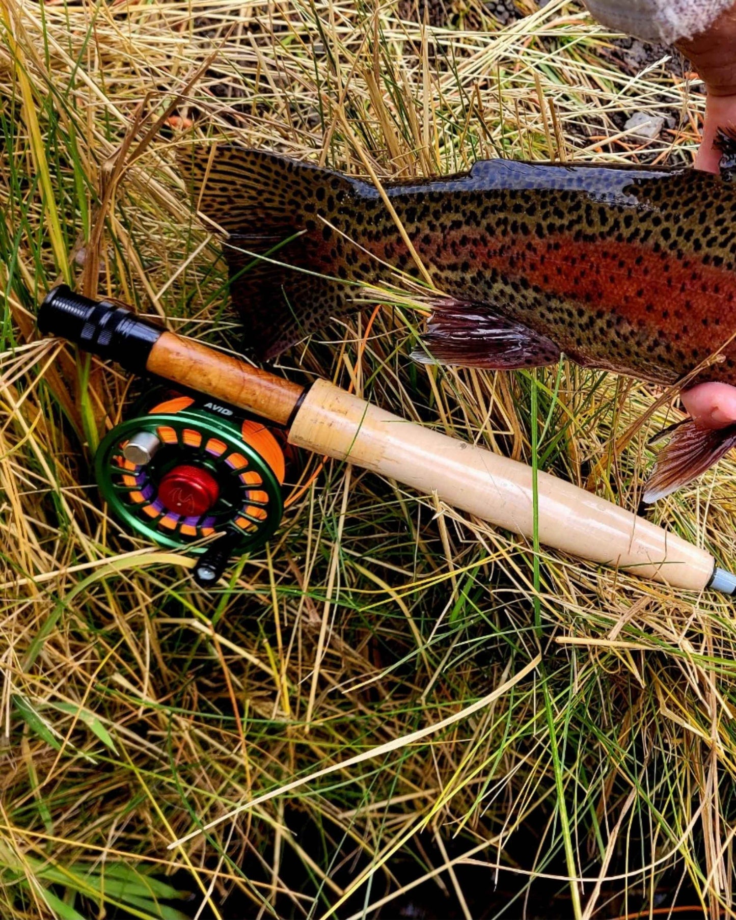 Best 1wt fly rod and reel