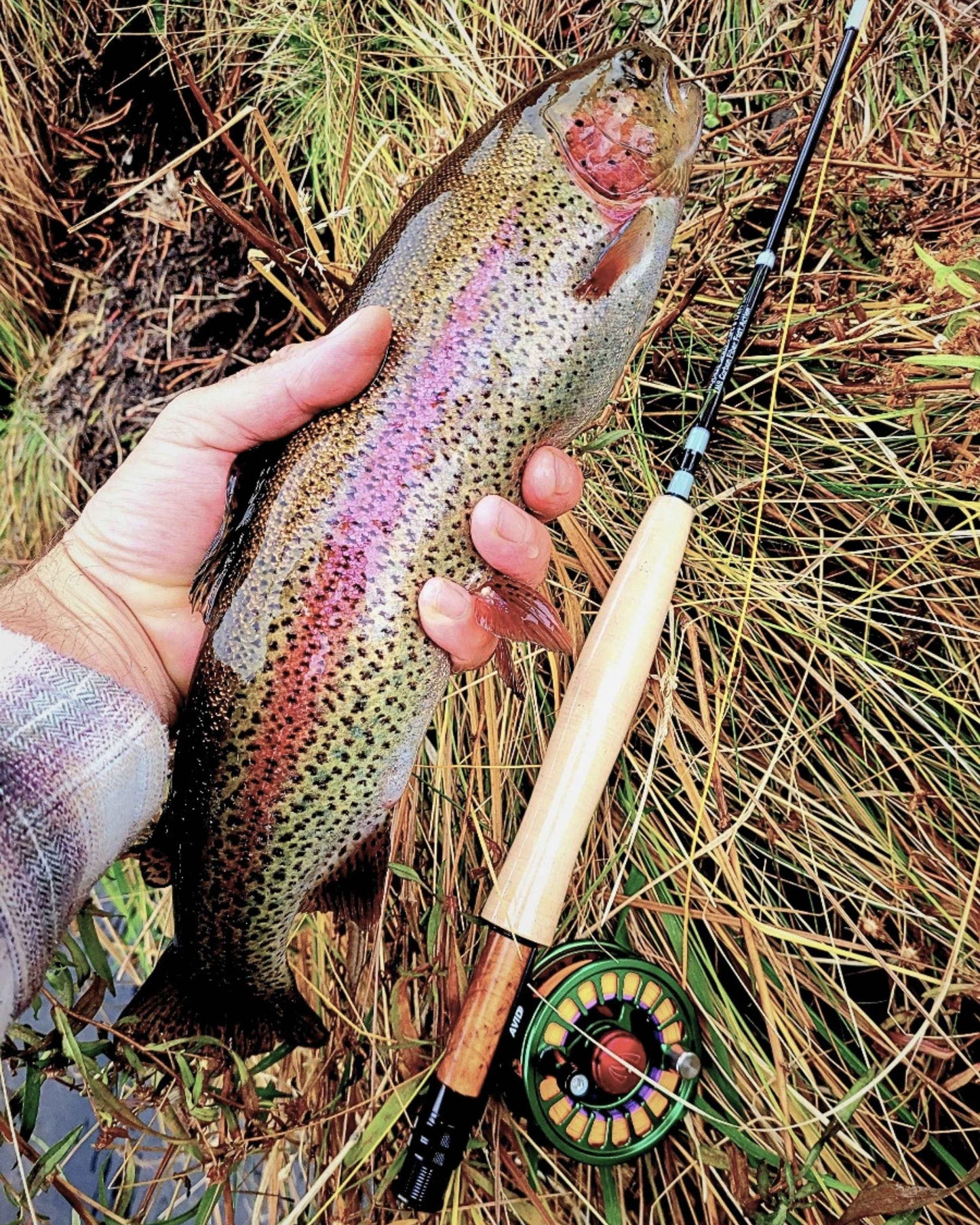 Best 1 weight fly fishing rod with reel