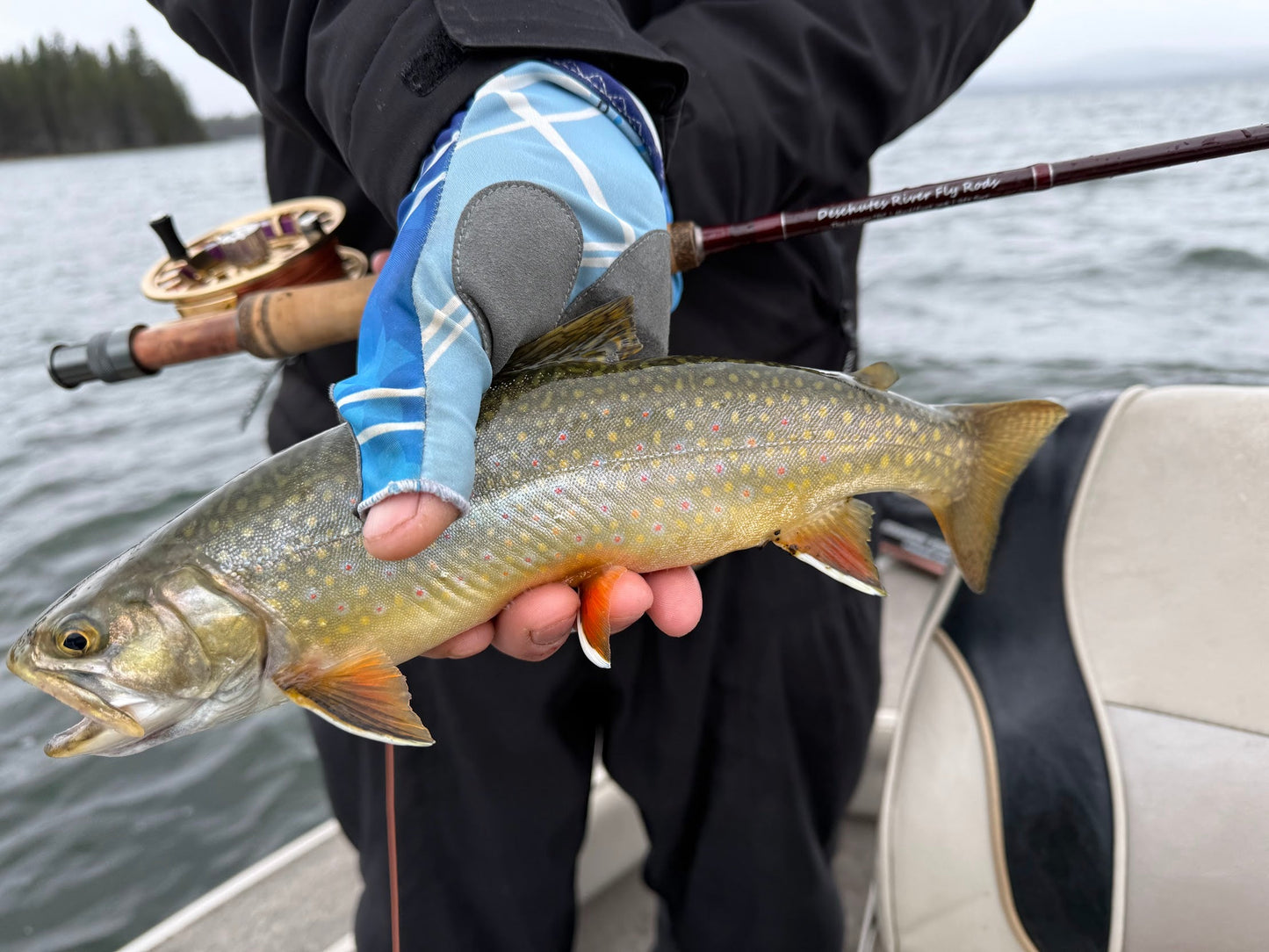 "Upper D" Fly Rod 9ft 5wt