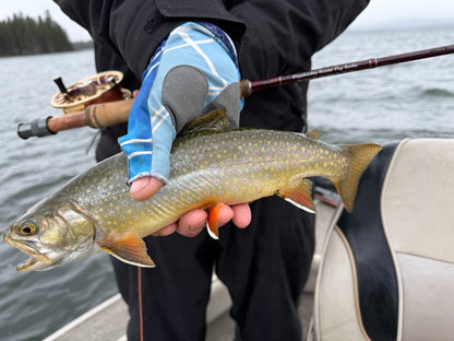 "Upper D" Fly Rod 9ft 5wt